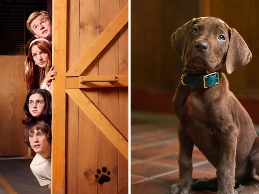 Scooby-Doo ganha primeiro teaser em série live-action da Netflix
